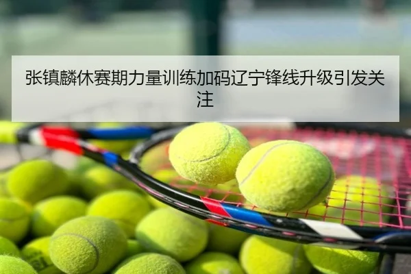 张镇麟休赛期力量训练加码辽宁锋线升级引发关注